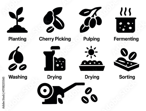Coffee Production Icons