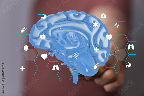 3D brain model with medical...