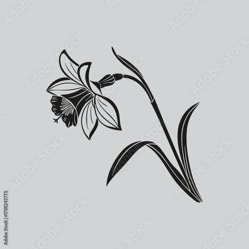 Black and White Daffodil Flower Silhouette