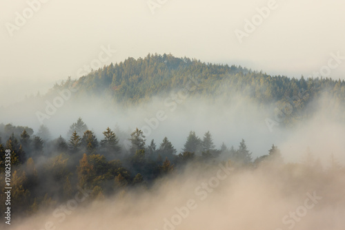 Photos Burgruine Meistersel über einem Nebelmeer mit Hügeln im warmen Licht der ersten
