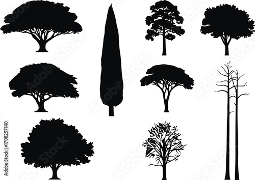 Tree silhouettes, botanical diversity, forest icons, black shapes, nature illustforms, vector clipart, editable graphic, tree types, canopy spread, trunk variation, isolated trees