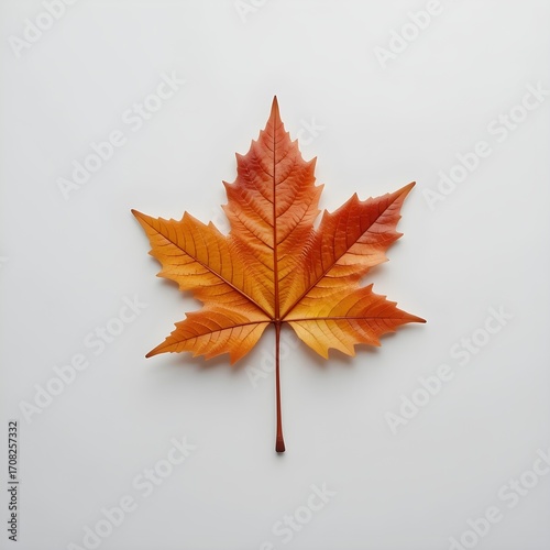 Wallpaper Mural red maple leaf Torontodigital.ca