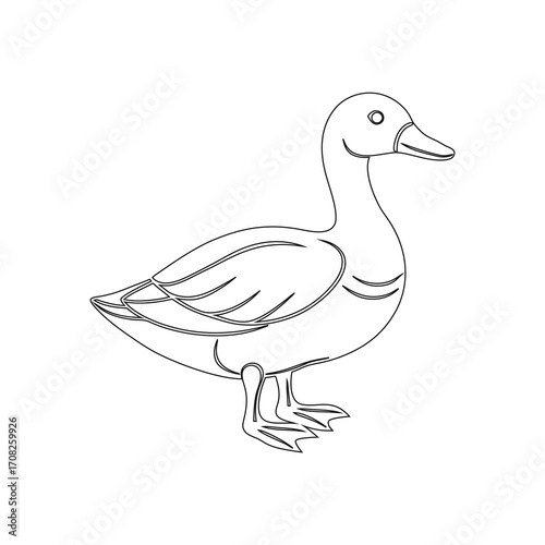 duck vector illustration