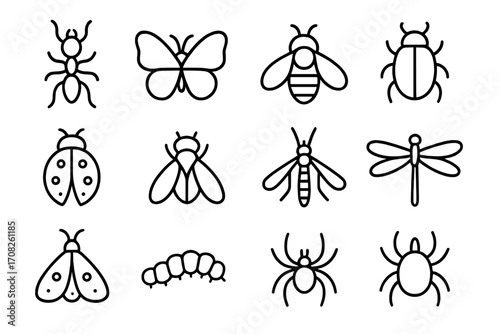 Insect & bug icon collection. Line vector symbols of ant, butterfly, bee, ladybug, spider, pest. Entomology outline pictogram set. Simple illustration with editable stroke.
