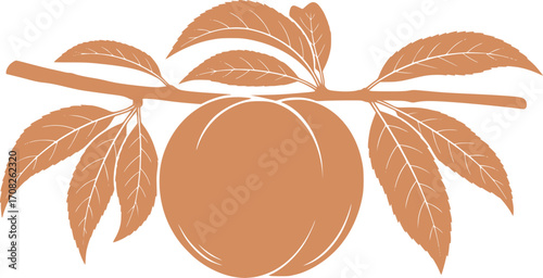 Ripe peach fruit with green leaves on branch fresh healthy food illustration vector