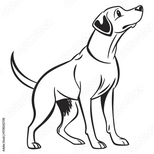 A noble hunting dog standing alert, a concept of loyalty and companionship