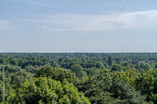 widok z punktu widokowego w muzeum puszczy białowieskiej na puszcze oraz lasy i bory po stronie Białoruskiej, 
