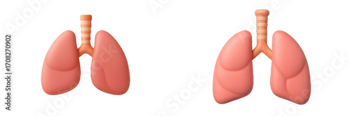 Detailed human lungs and trachea representing the vital respiratory system organs for breathing and oxygen exchange