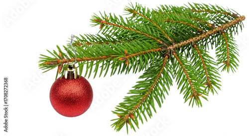 Isolated Christmas Tree Branch with Ornament