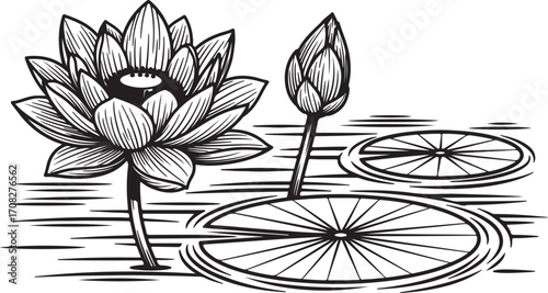 Black and white illustration of a lotus flower and bud on water pond