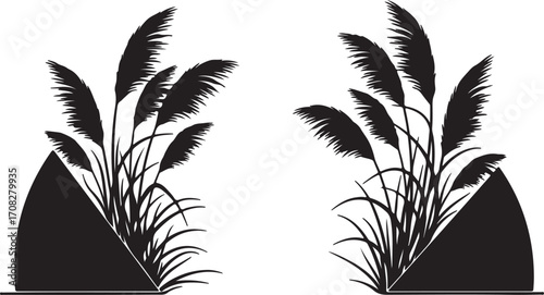 Silhouette of tall pampas grass plumes against abstract triangular shapes reeds