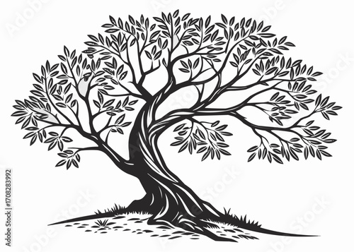 Silhouette Icon of an Olive Tree Isolated on White Background