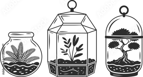 Glass terrariums with indoor plants, minimal botanical design for home, bonsai and foliage in contain