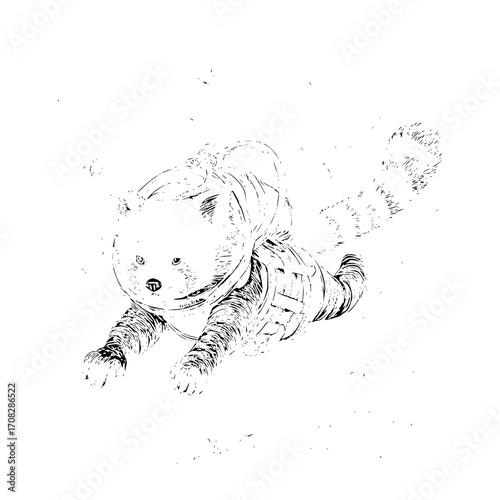 Astronaut cat space exploration feline adventure cosmic kitty pet in suit galaxy traveler black and white art