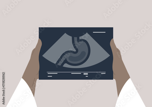 A close examination of ultrasound body parts showcasing the stomach, highlighting the significance of medical imaging in health diagnostics and understanding