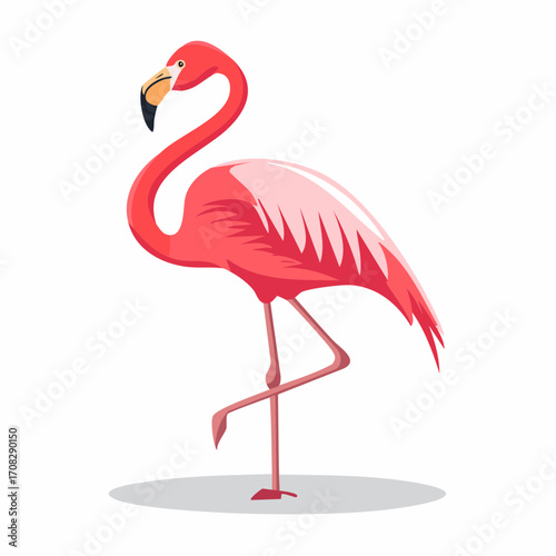 Pink Flamingo Standing on One Leg