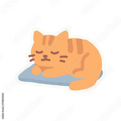 Sleeping cat