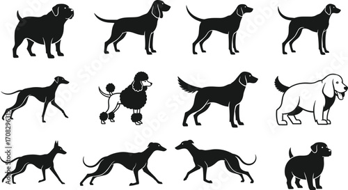 Set of twelve dog breed silhouettes in side profile, black vector illustration showing various canine shapes for pet and animal themes