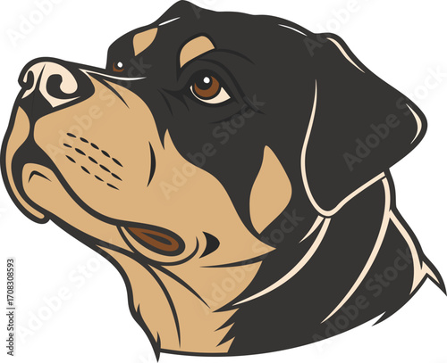 Rottweiler portrait, bold black and tan dog head, sturdy guard breed drawing. Dog sketch, perfect animal art and breed logo graphic.