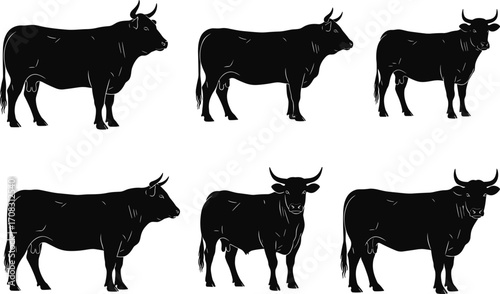 Black bull silhouette vector set, farm animal illustration, cattle livestock clipart, cow and ox graphic, ranch agriculture design elements for projects