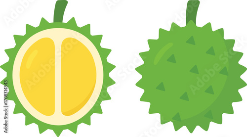 Durian fruit green rind yellow flesh spiky shell tropical fresh organic juicy sweet exotic flavor healthy snack illustration