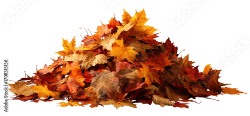 A pile of vibrant autumn leaves