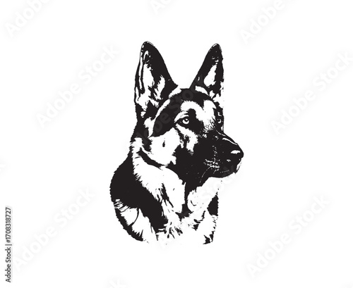 German Shepherd Silhouette Portrait Black and White