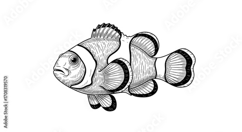 Clownfish Detailed Illustration with Striped Pattern and Artistic Flair