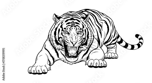 Striking Tiger Ready to Pounce Illustration in Bold Black and White