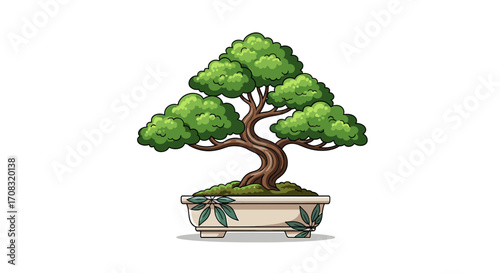 Isolated charming bonsai tree illustration on white background for design