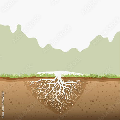 White Root System Underneath Brown Soil and Green Grass Against a Hilly Background