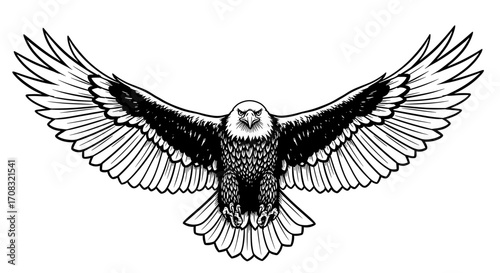 Striking American Bald Eagle Vector Illustration with Wings Spread Wide