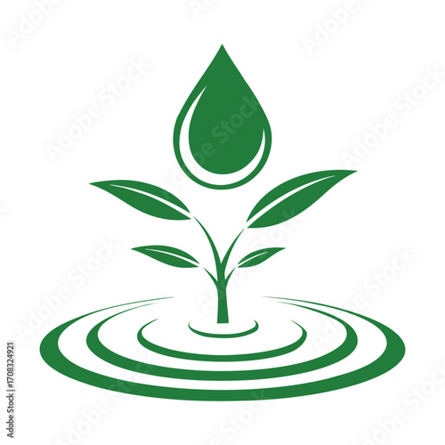 Green sprout with water drop and ripples, symbolizing growth and nature