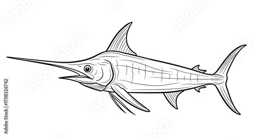 Detailed Marlin Fish Illustration in Black and White Outline Style