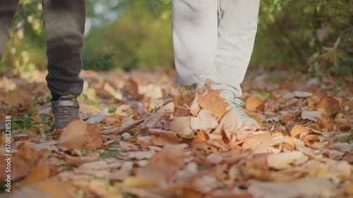 Wallpaper Mural back view of people walking on leaf covered forest trail, legs kicking dry foliage as dust rises around ankles, sunlight reflecting on leg, wearing cozy jackets in autumn nature atmosphere Torontodigital.ca