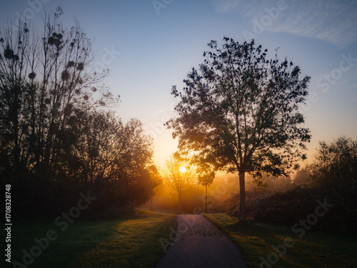 Sonnenaufgang im Park