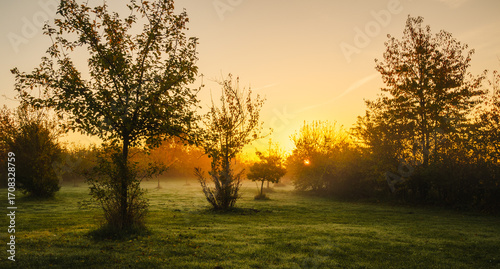 Sonnenaufgang im Park