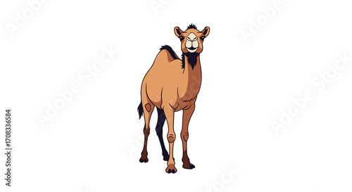 A brown camel standing on a white background.