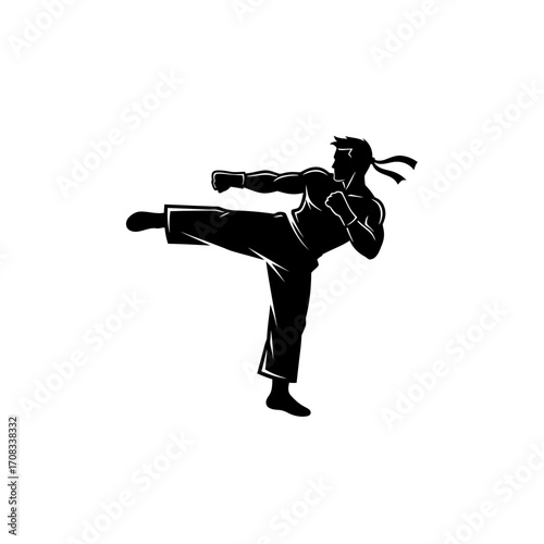 Silhouette of Martial Artist Performing High Kick.