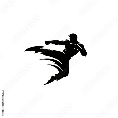 Dynamic Black Silhouette of Martial Arts Fighter