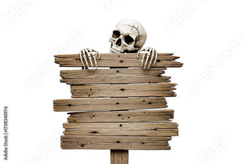 skull and wooden board for halloween isolated on white
