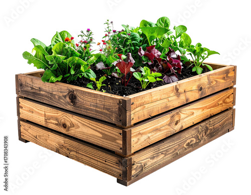 Wooden planter box filled with vibrant garden produce
