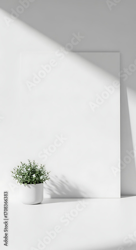 Minimalist White Room Interior with Blank Frame, Green Plant, and Sunlight