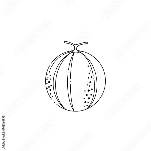 Simple Black and White Outline of Cantaloupe Fruit