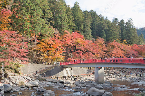 Autumn foliage in Korankei Valley, Nagoya, Japan. Taken during peak fall season, showing colorful maple leaves along the river.