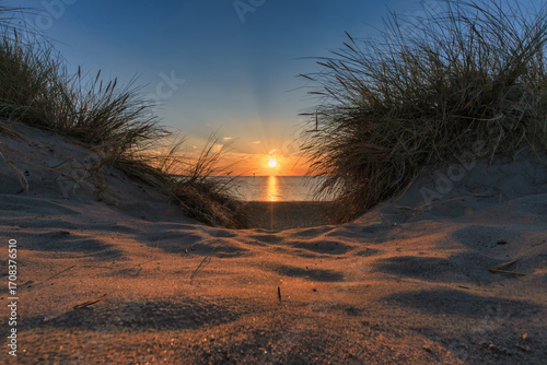 Eine untergehende Sonne spiegelt sich im Meer zwischen Gras und Sand der Dünen von Zeeland