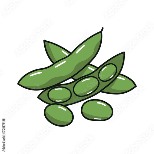 Harvesting fresh edamame beans farm food illustration agricultural field shot nutrition awareness. Vector illustration