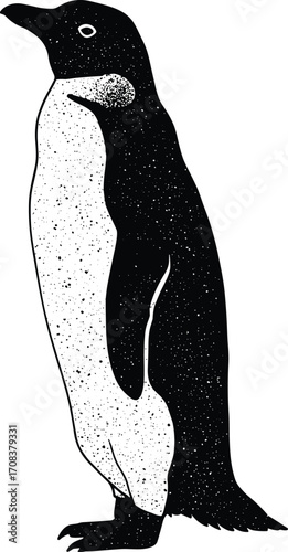 Detailed black and white illustration of a standing penguin silhouette, wildlife graphic art, isolated on white background for nature and design projects