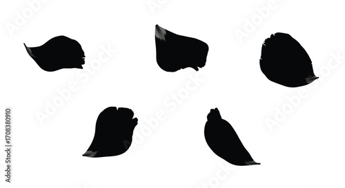Abstract black shapes scattered on a white surface isolated organic forms vector
