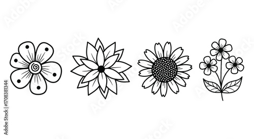 Hand drawn flower collection delicate botanical elements botanical garden nature beauty simple sketch floral design vector
